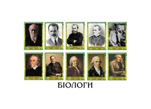Стенди