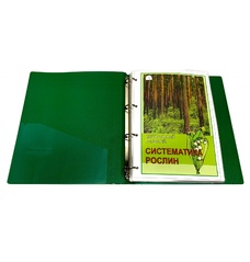 Гербарій 