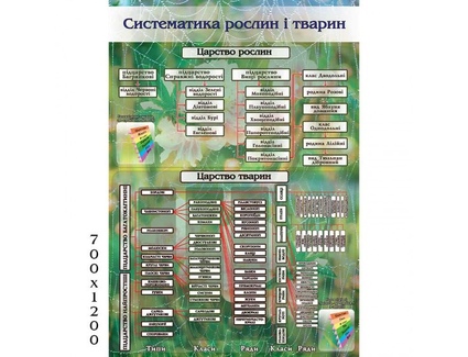 Стенд Систематика рослин і тварин